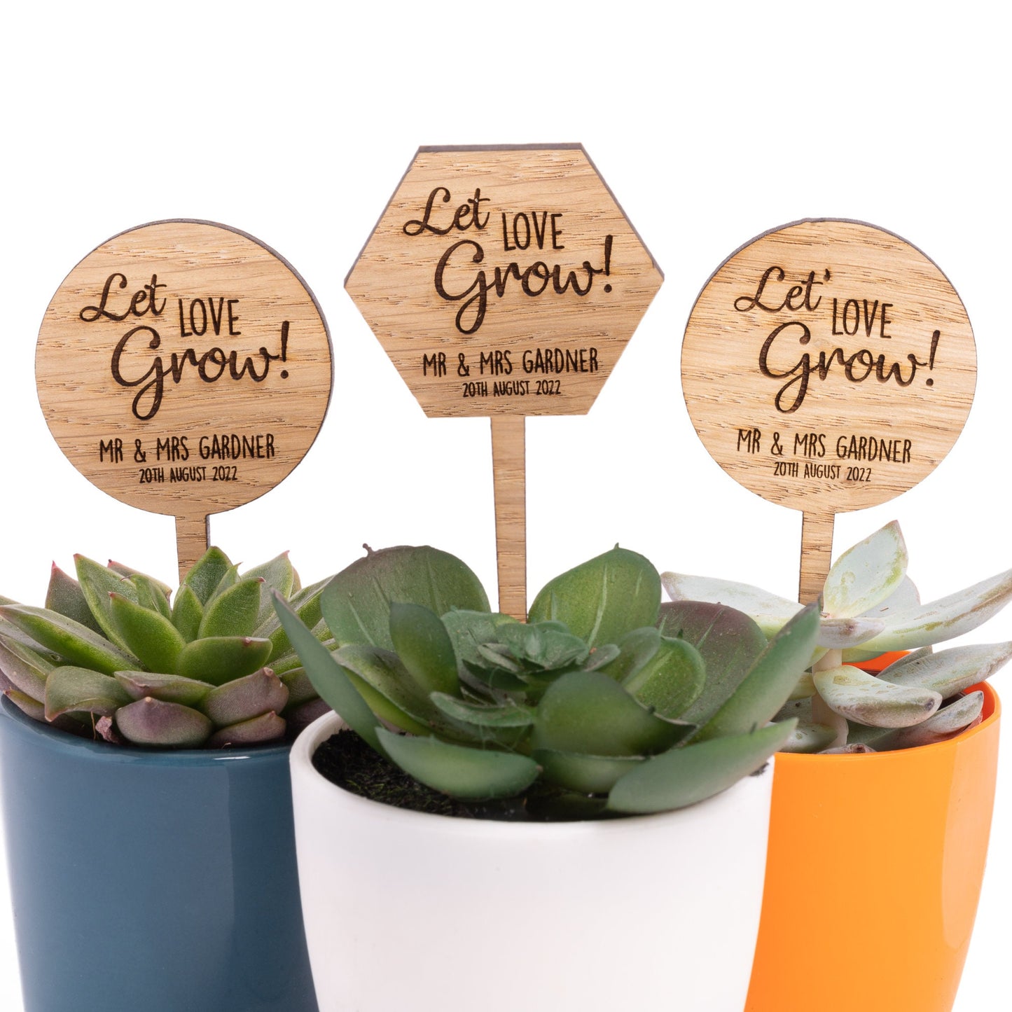 Wedding Cactus Succulent Favours - Personalised "Let Love Grow" Wooden Plant Stakes