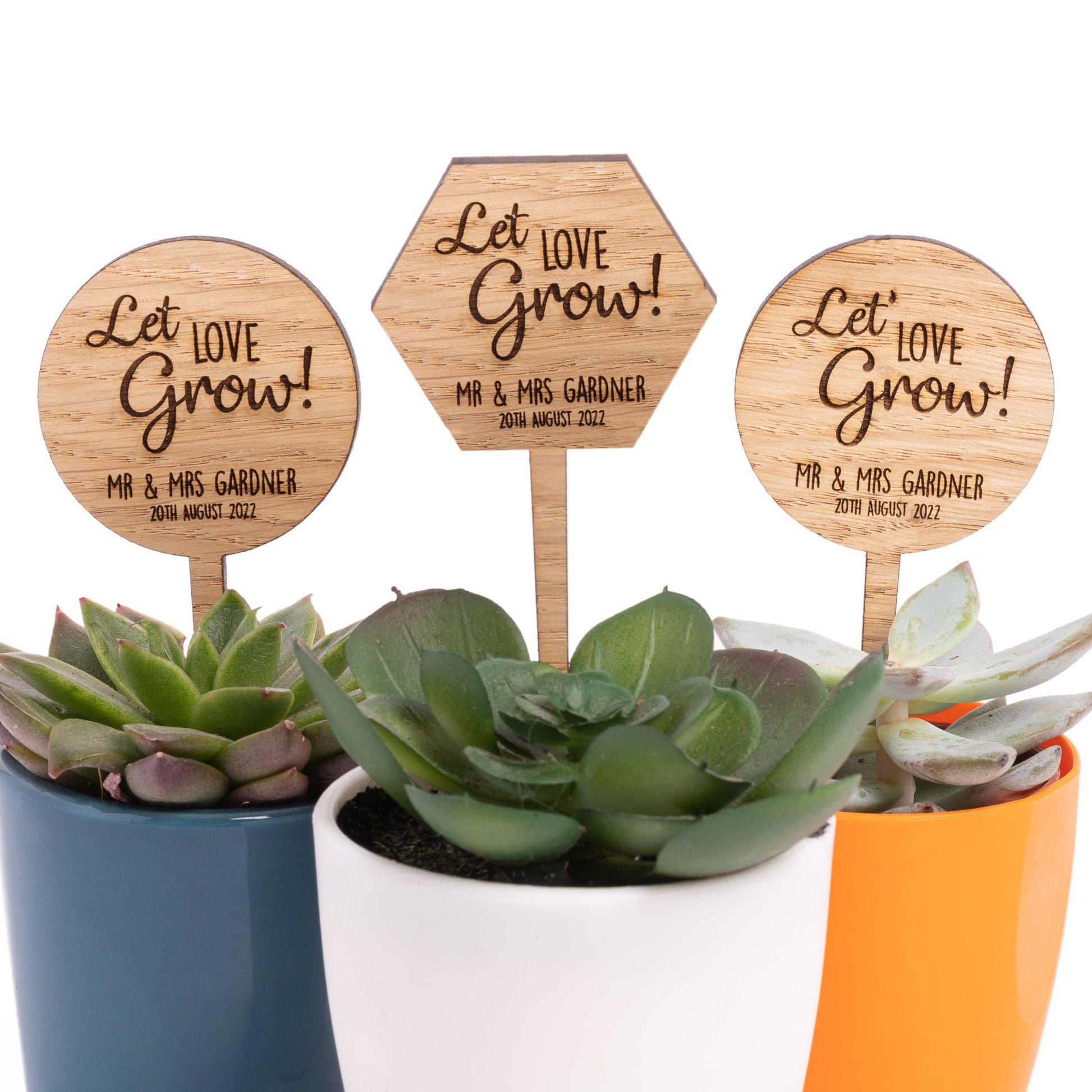 Wedding Cactus Succulent Favours - Personalised "Let Love Grow" Wooden Plant Stakes